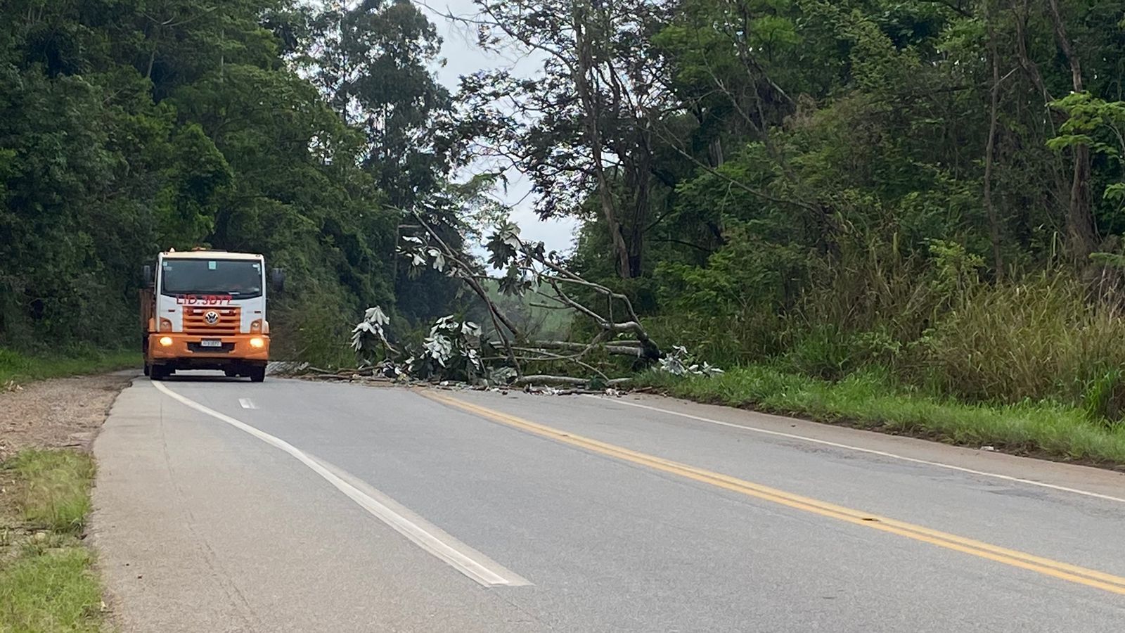 No momento você está vendo RISCO DE ACIDENTE NA ESTRADA DOS BAMBAS – 04/10