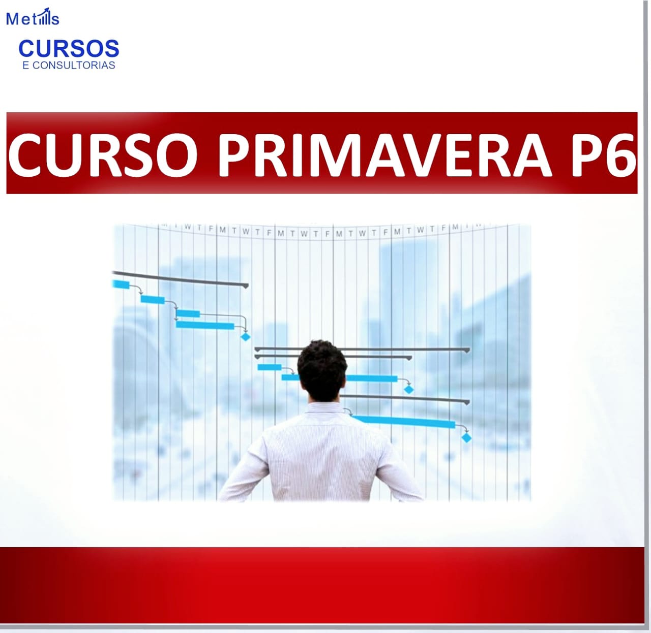 Leia mais sobre o artigo Curso Online de Primavera P6: Transforme Sua Carreira em Gerenciamento de Projetos