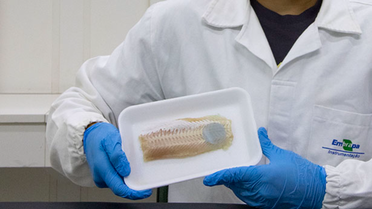 No momento você está vendo Embalagem inteligente transformará a conservação de peixes com alerta visual de frescor