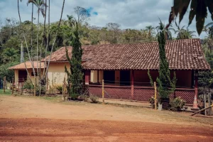 Leia mais sobre o artigo Casa de Elke Maravilha será reconstruída em Ipoema como espaço cultural