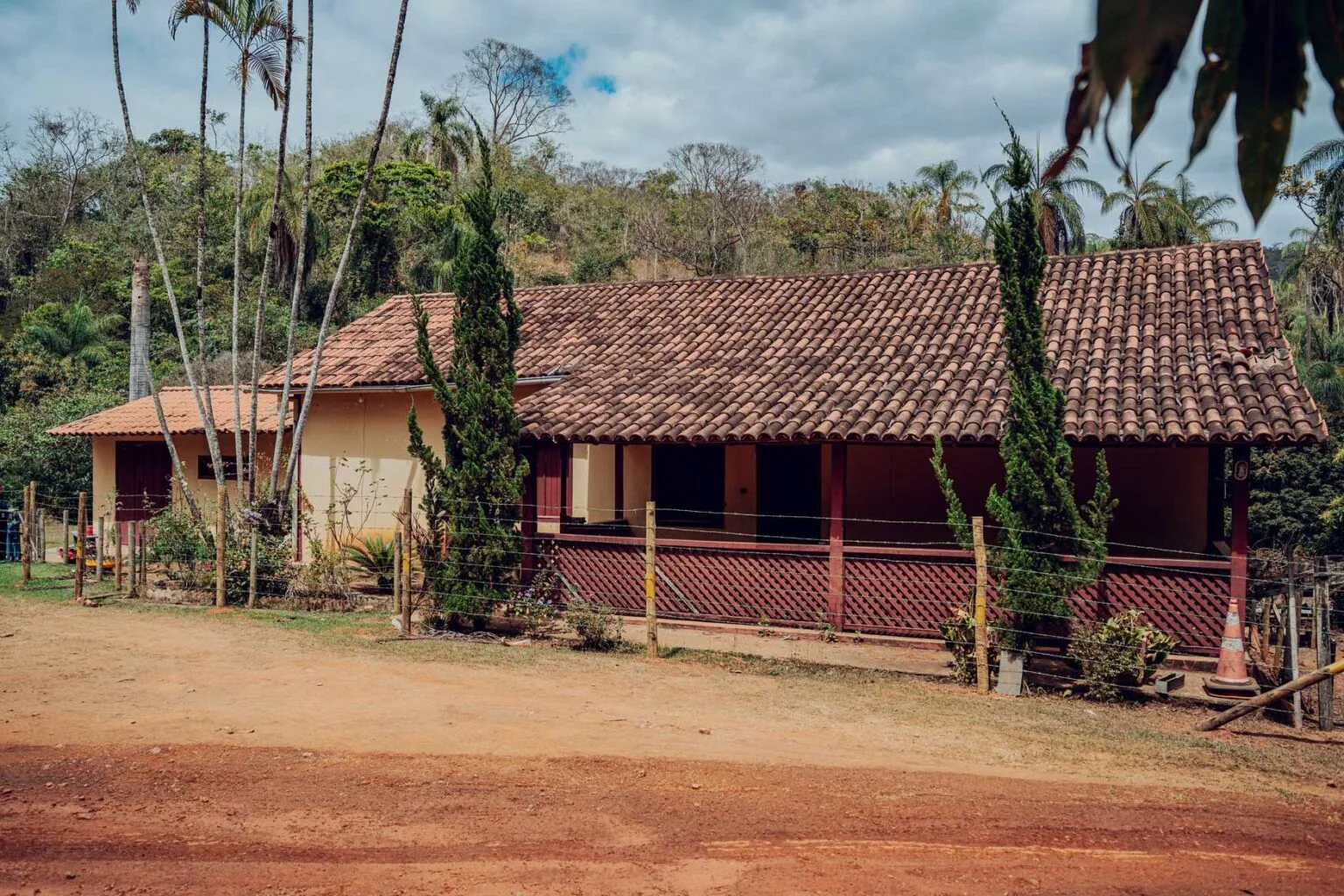 Leia mais sobre o artigo Casa de Elke Maravilha será reconstruída em Ipoema como espaço cultural