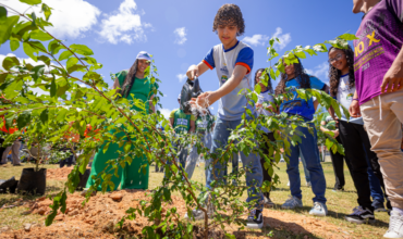 Câmara de Itabira aprova projeto que incentiva plantio de árvores frutíferas em espaços públicos