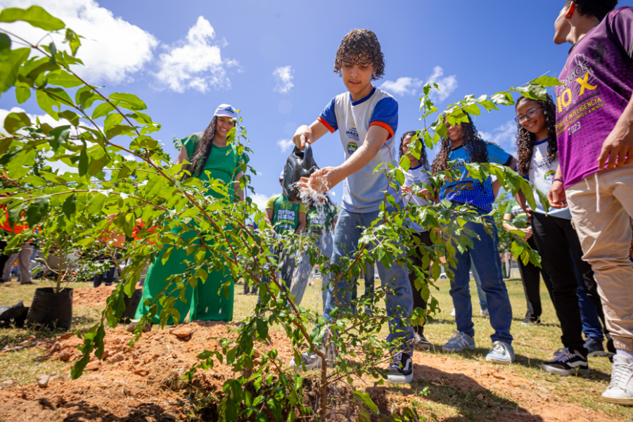 Câmara de Itabira aprova projeto que incentiva plantio de árvores frutíferas em espaços públicos
